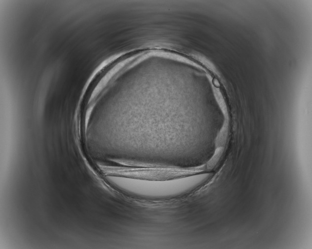 X0000084041032200703092027