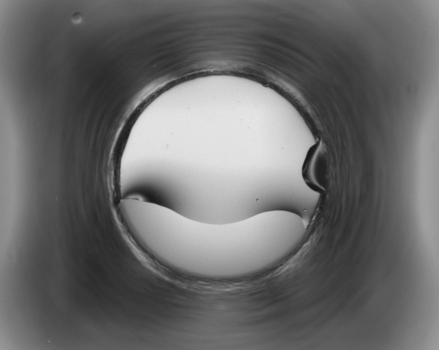 X0000084041034200703092027