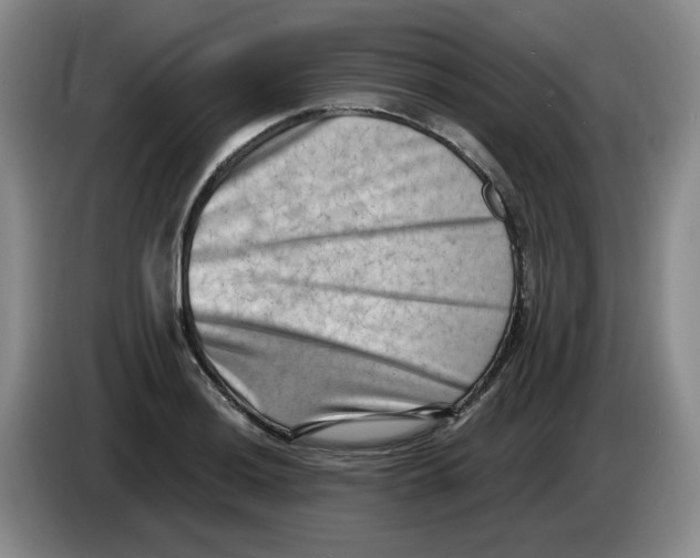 X0000084041036200703092027