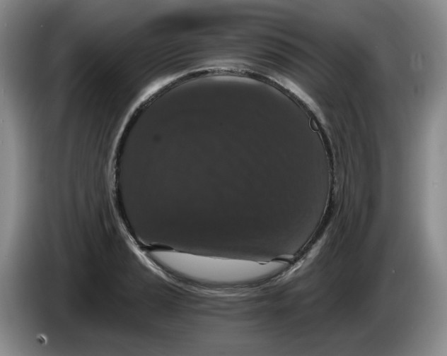 X0000084041037200703092027