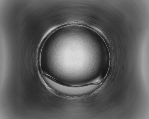 X0000084041038200703092027