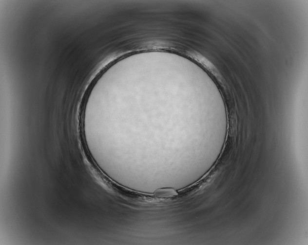 X0000084041039200703092027