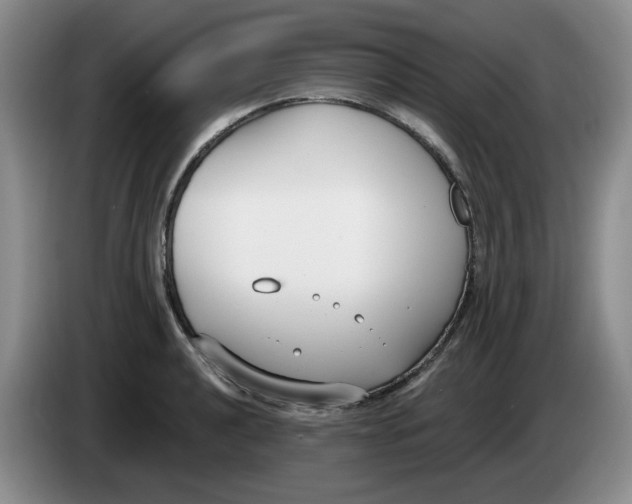 X0000084041040200703092027