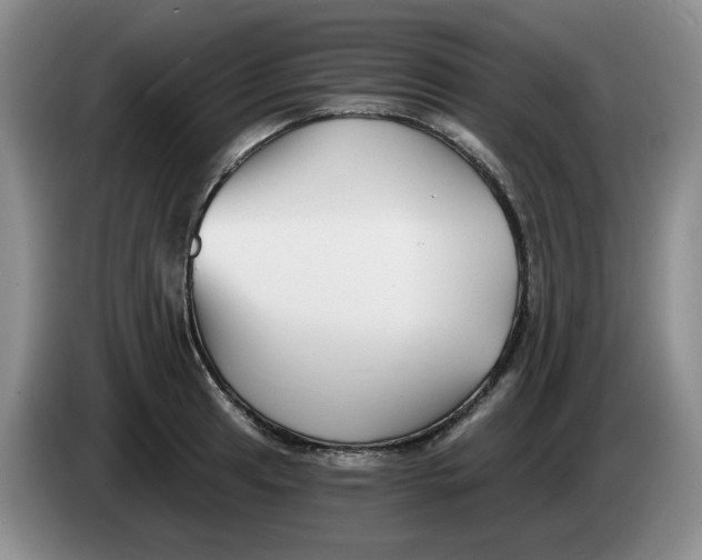 X0000084041041200703092027