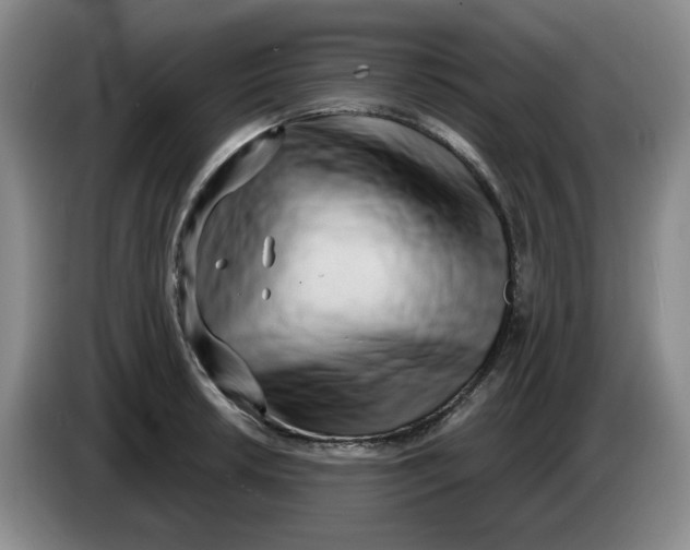 X0000084041042200703092027