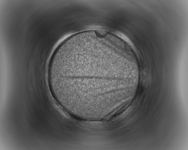 X0000084041043200703092027