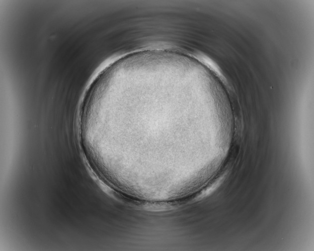 X0000084041046200703092027