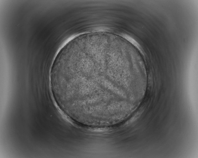 X0000084041047200703092027