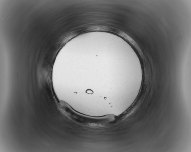 X0000084041049200703092027