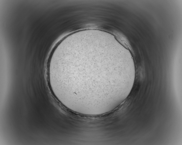 X0000084041051200703092027