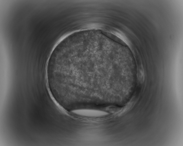 X0000084041055200703092027