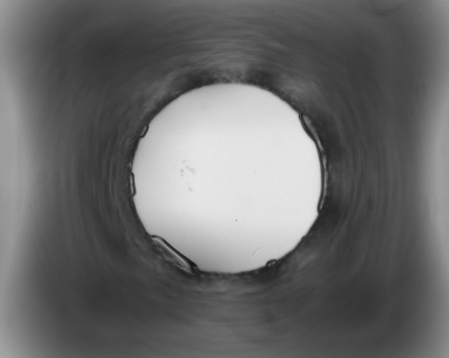 X0000084041057200703092027