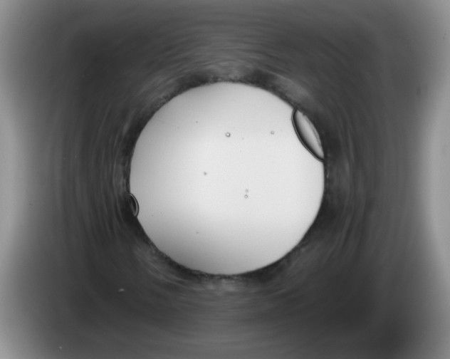 X0000084041058200703092027