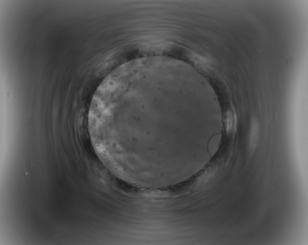 X0000084041059200703092027