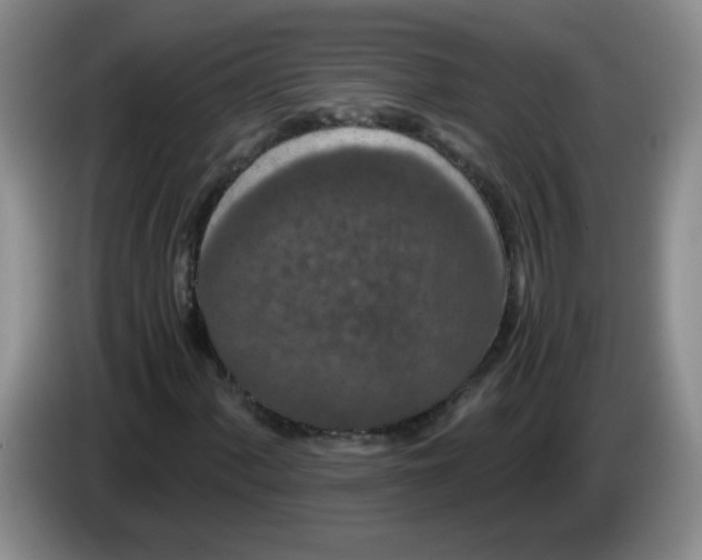 X0000084041060200703092027