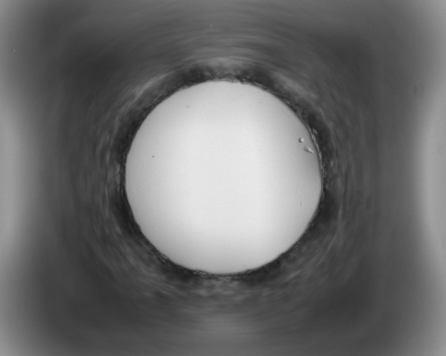 X0000084041061200703092027