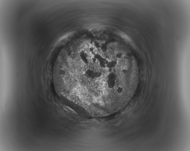 X0000084041063200703092027