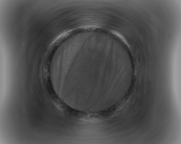 X0000084041064200703092027