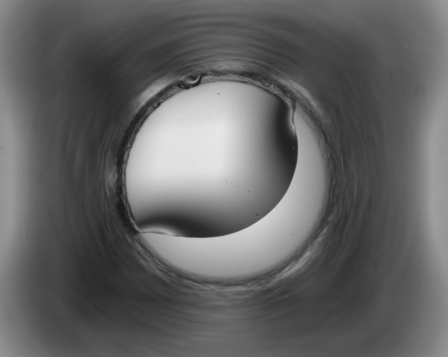 X0000084041065200703092026