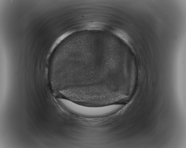 X0000084041066200703092026