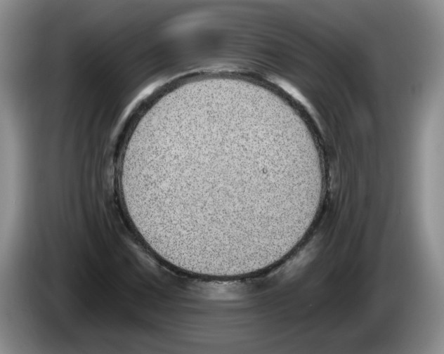 X0000084041067200703092026