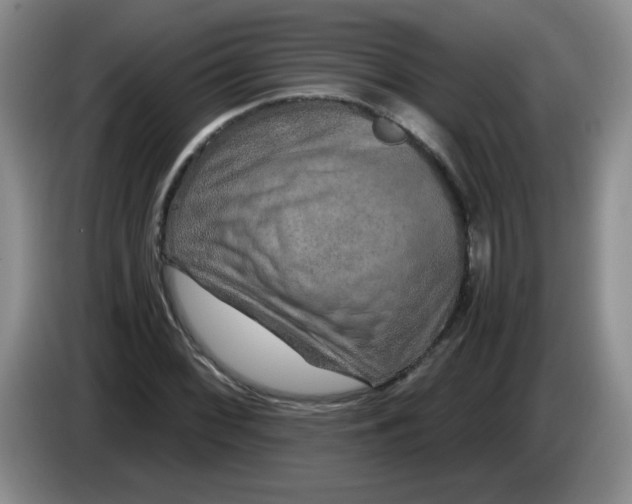 X0000084041068200703092026