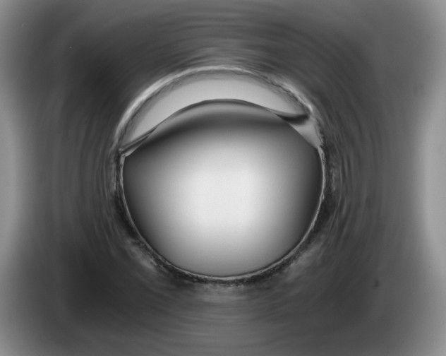 X0000084041069200703092026