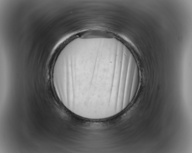 X0000084041070200703092026