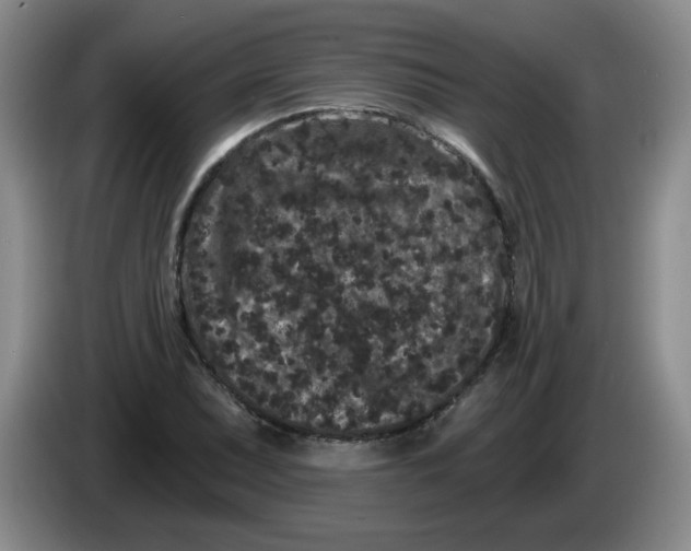 X0000084041071200703092026