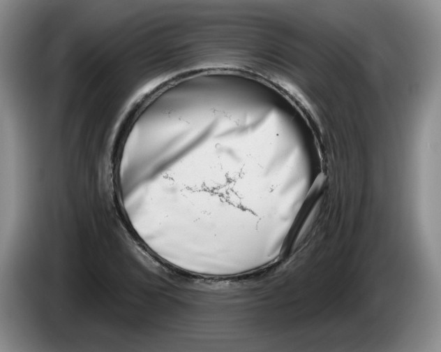 X0000084041072200703092026