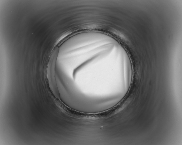 X0000084041073200703092026