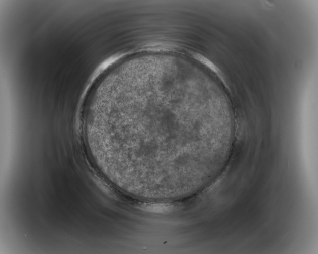 X0000084041074200703092026