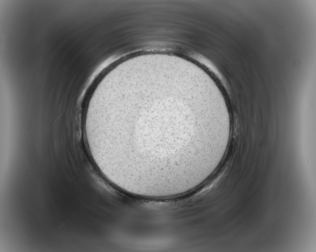 X0000084041075200703092026