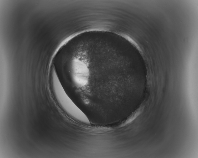 X0000084041077200703092026