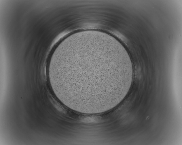 X0000084041078200703092026