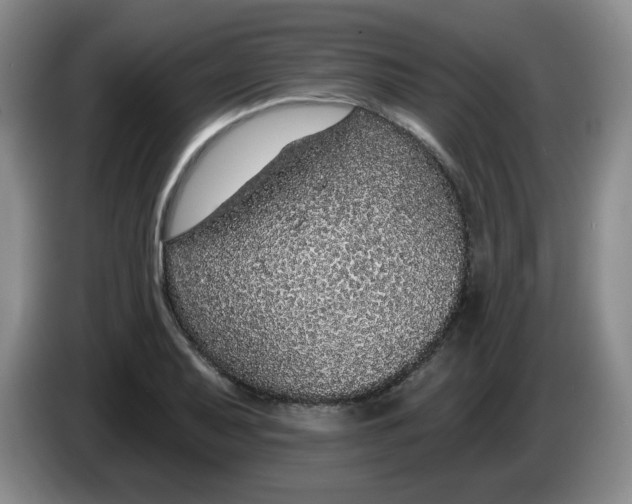 X0000084041079200703092026