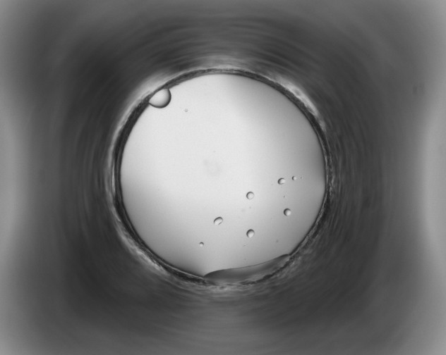 X0000084041080200703092026