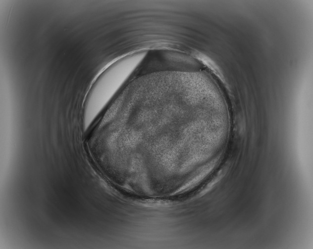 X0000084041081200703092026