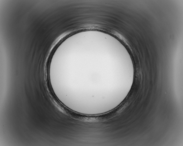 X0000084041082200703092026