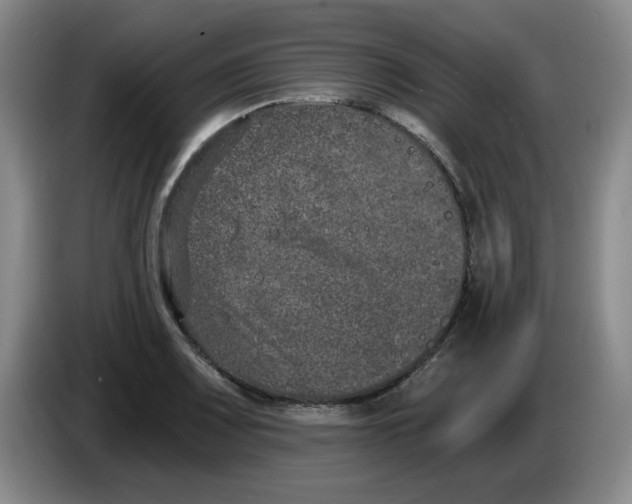 X0000084041083200703092026