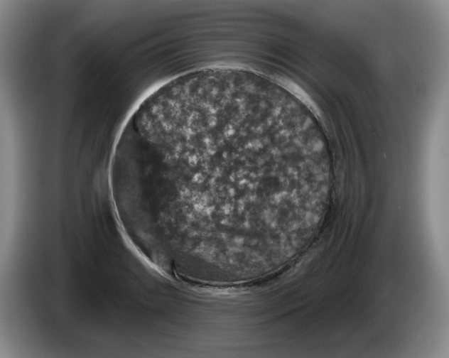 X0000084041084200703092026