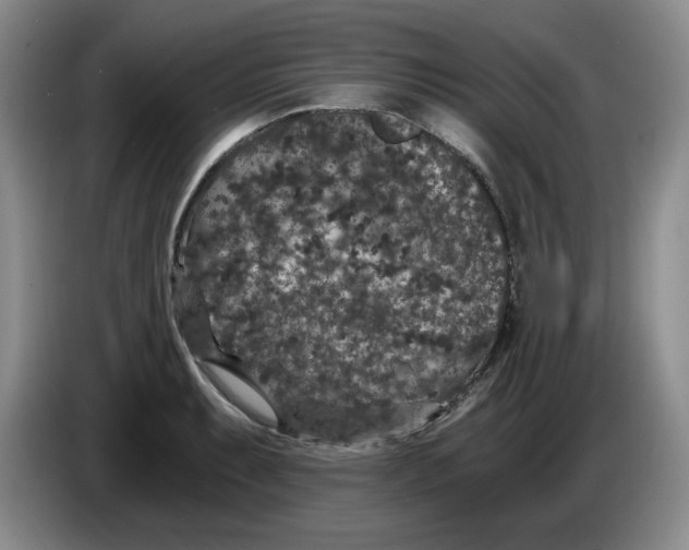 X0000084041087200703092026