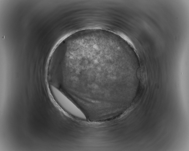 X0000084041088200703092026