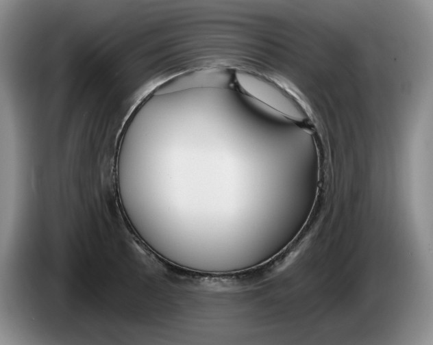 X0000084041089200703092026