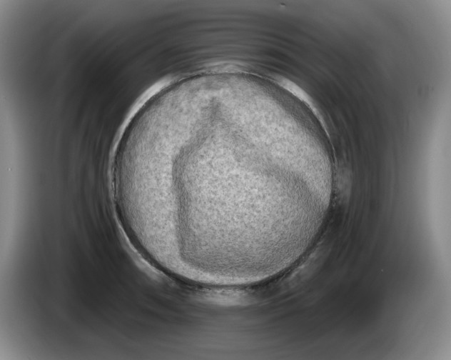 X0000084041090200703092026