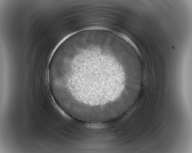 X0000084041092200703092026