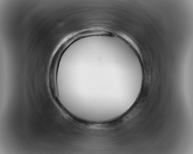 X0000084041093200703092026