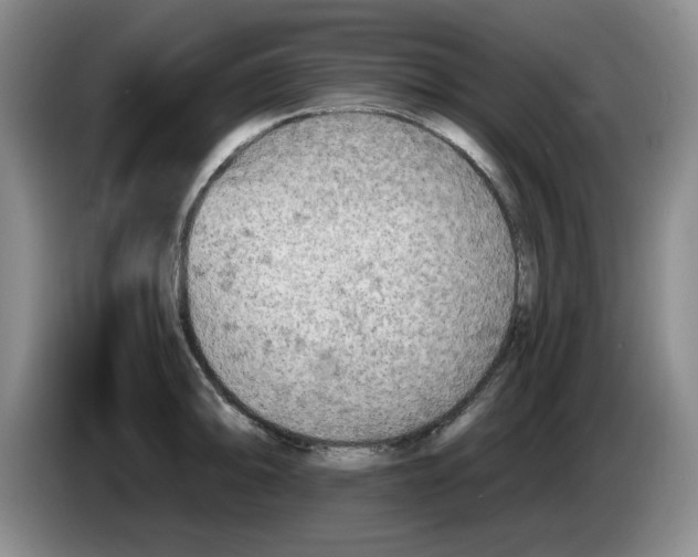 X0000084041094200703092026