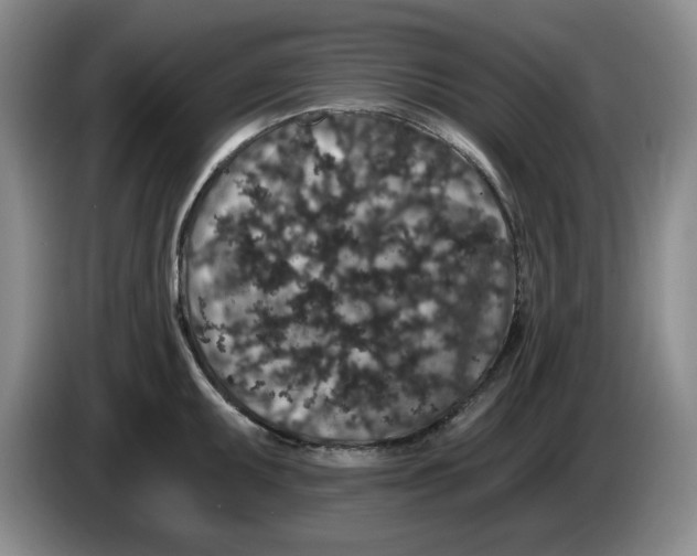 X0000084041095200703092026