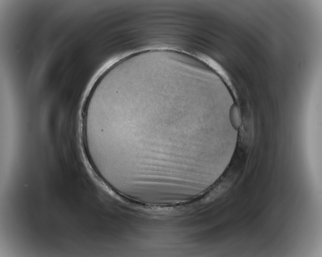 X0000084041096200703092026